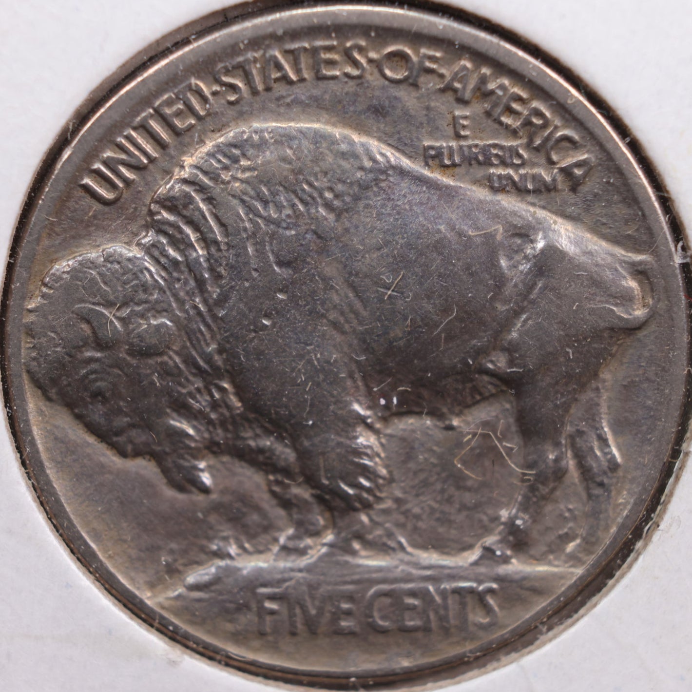 1913 Buffalo Nickel, Extra Fine Circulated Coin, Store #NL186