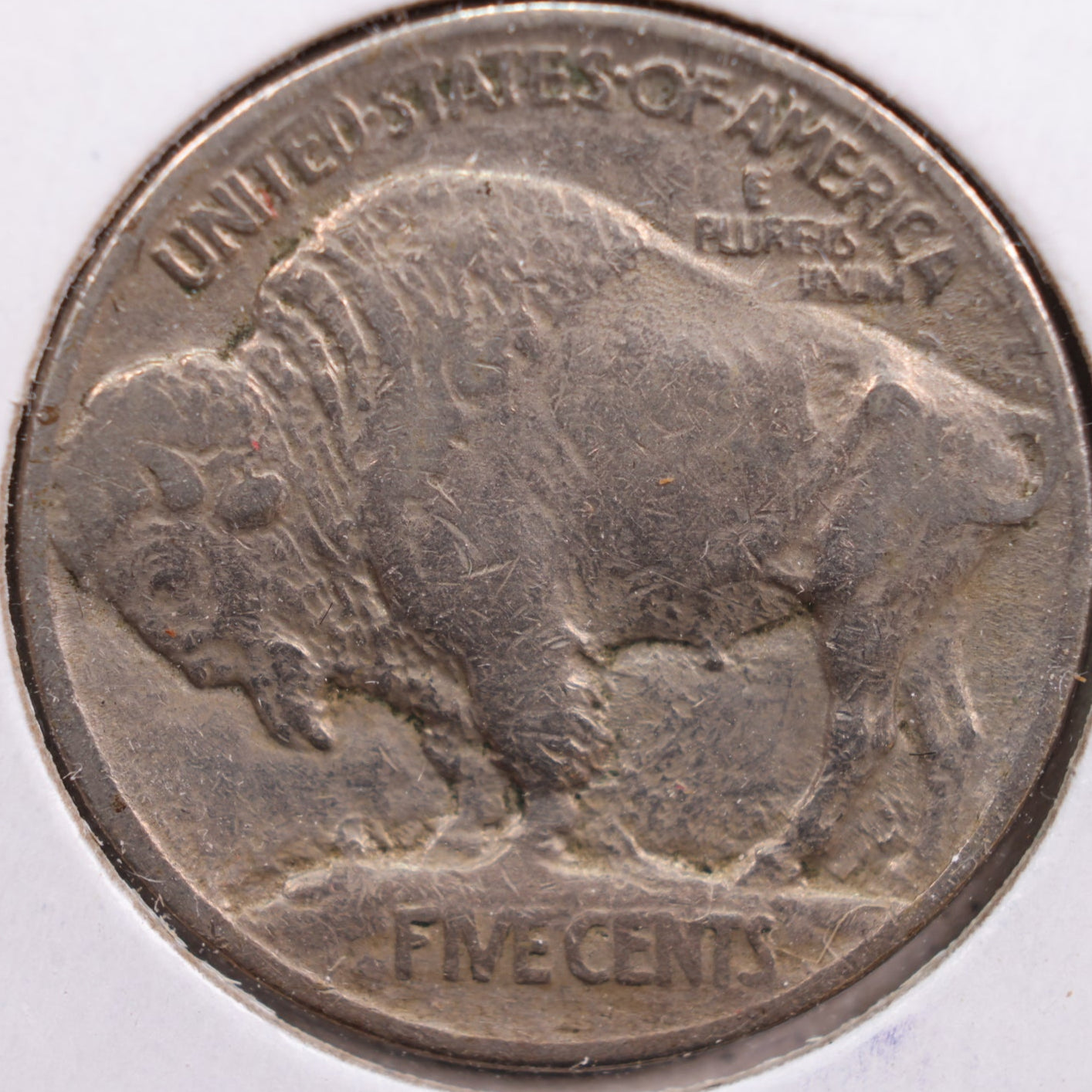 1913 Buffalo Nickel, Extra Fine+ Circulated Coin, Store #NL189