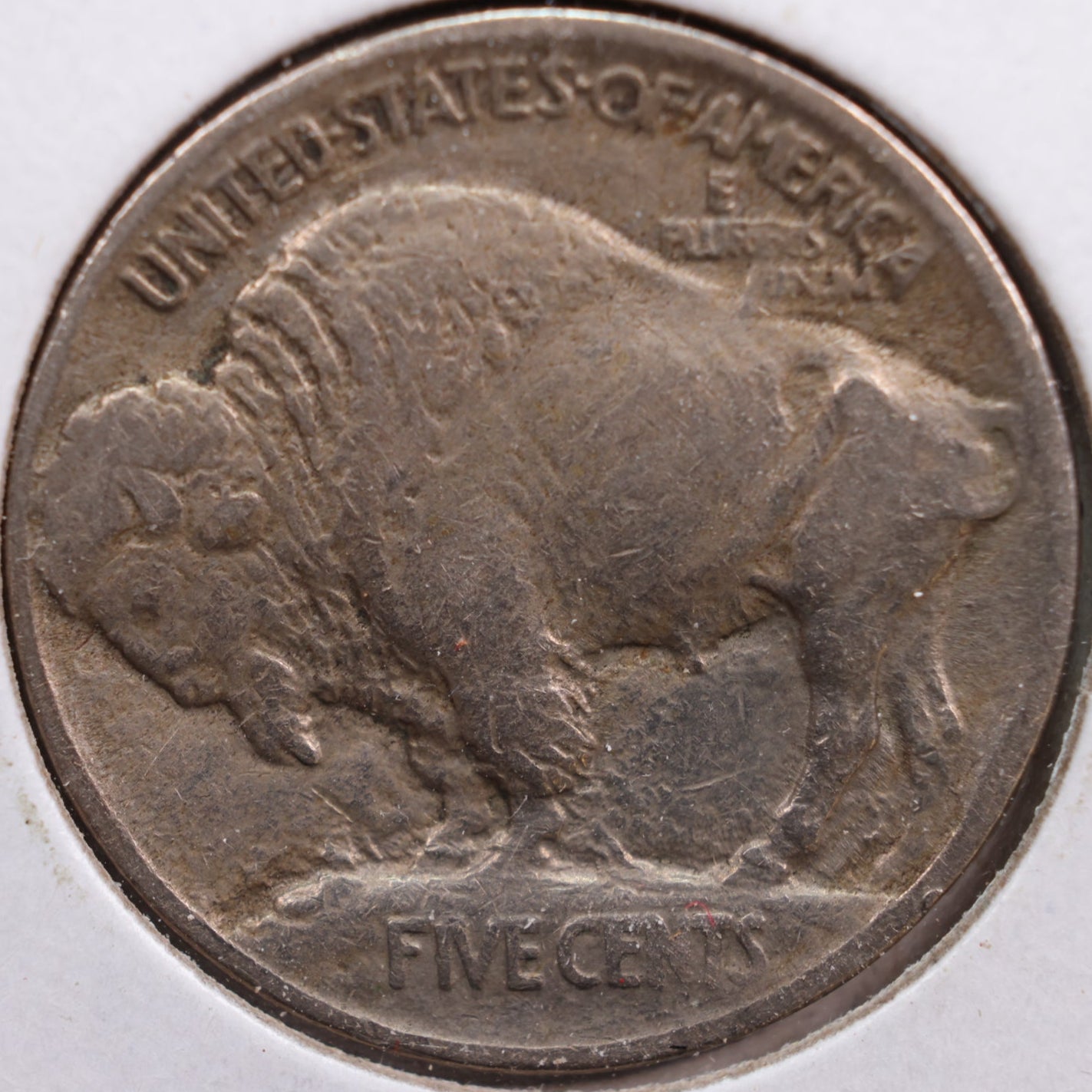 1913 Buffalo Nickel, Extra Fine+ Circulated Coin, Store #NL192