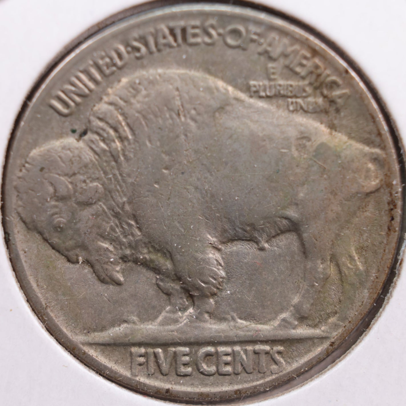 1913 Buffalo Nickel, Very Fine+ Circulated Coin, Store #NL194