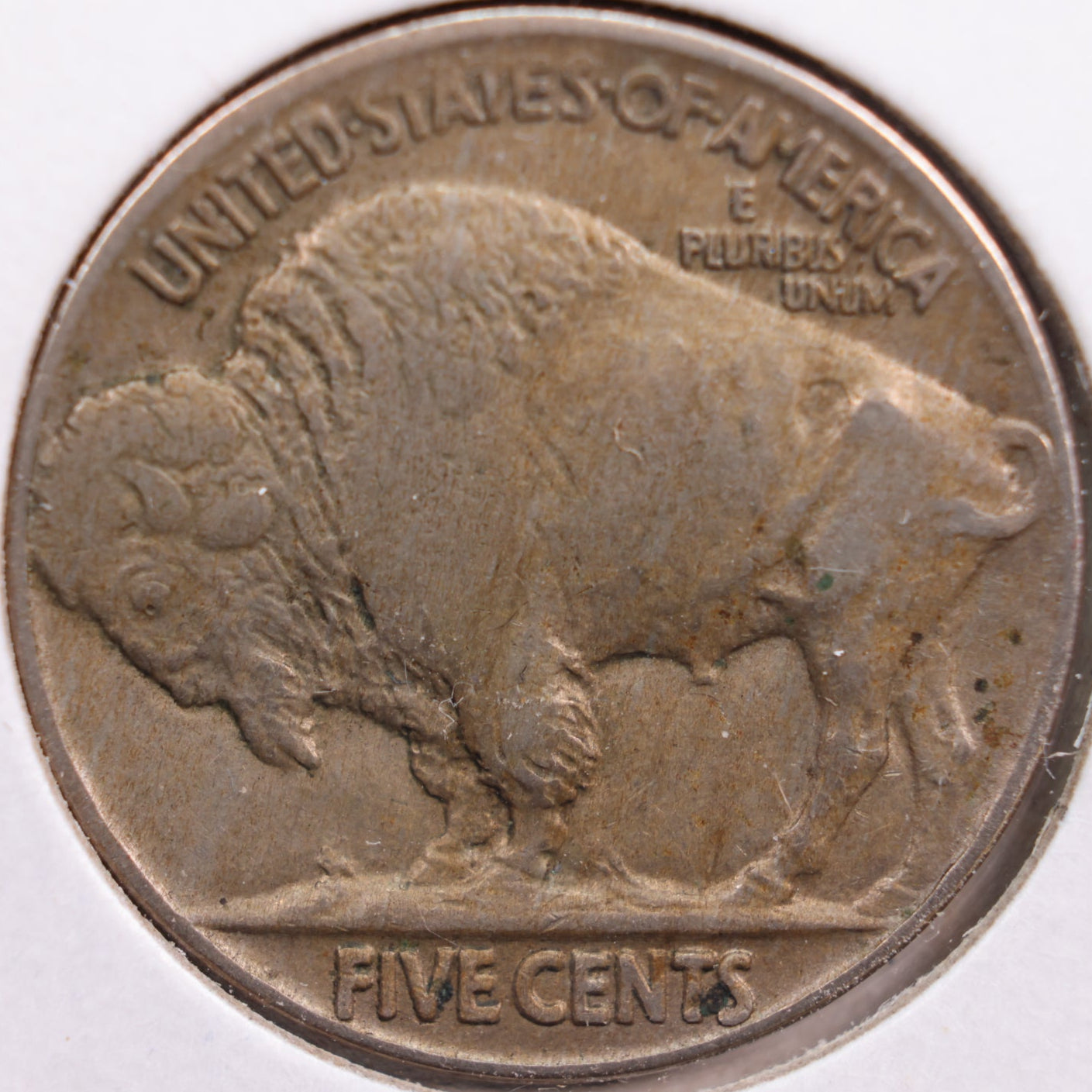 1913 Buffalo Nickel, About Uncirculated+ Coin, Store #NL211