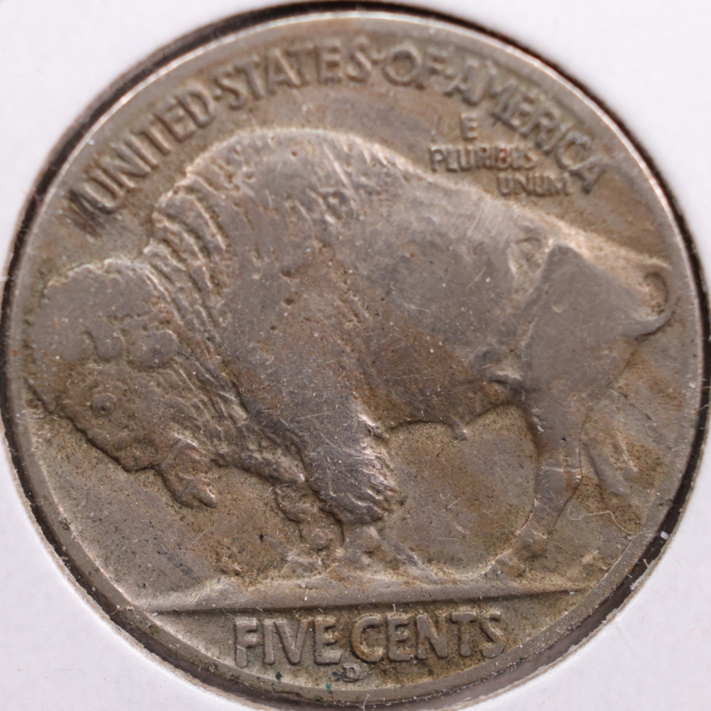 1913-D Buffalo Nickel, Fine+ Circulated Coin, Store #NL231