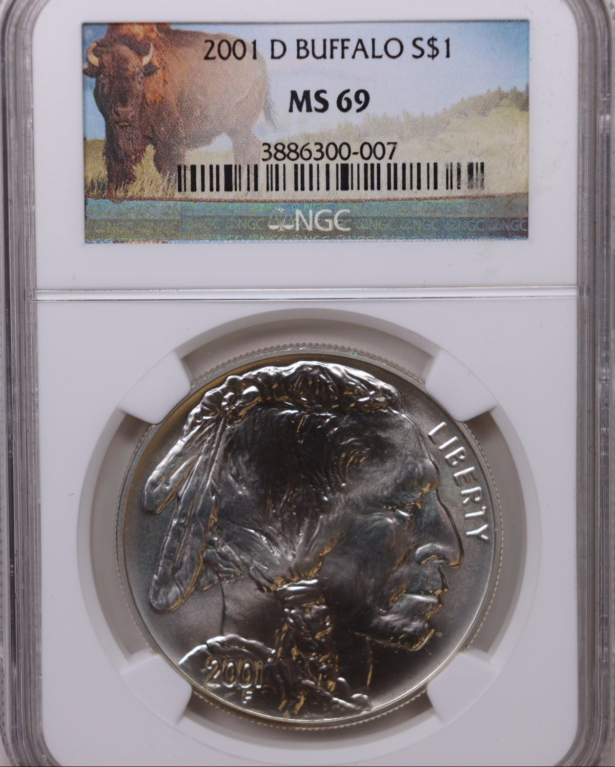 2001-D Buffalo Silver Dollar, NGC MS-69, Nice Strike, Store #GMC387.