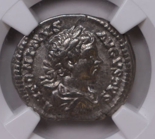 Roman Empire Caracalla, AD 198-217, NGC Choice X.F, Store# AT0034.