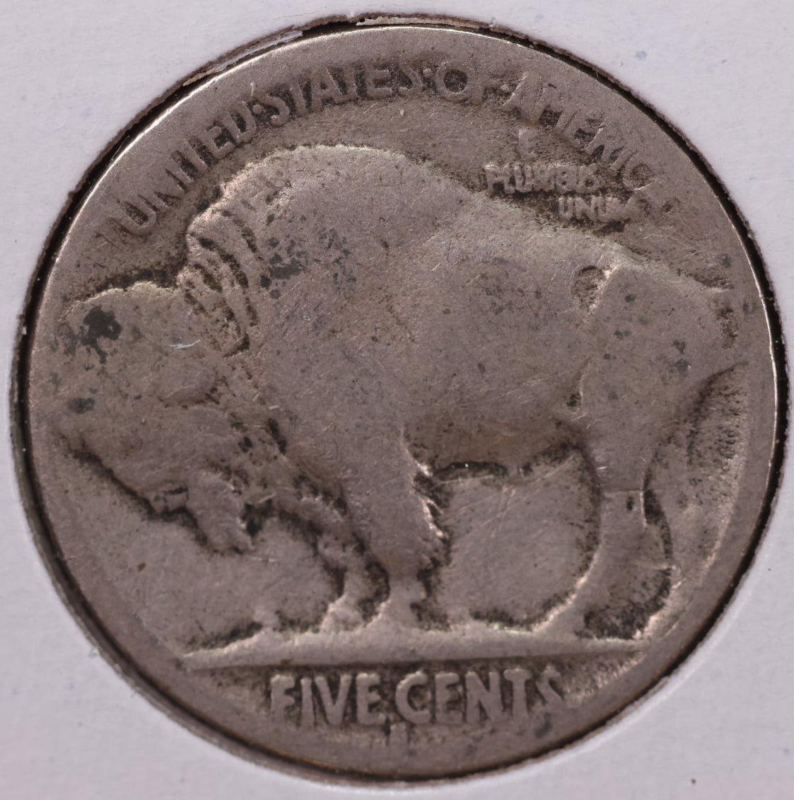 1917-S Buffalo Nickel, Average Circulation. Store #NL776