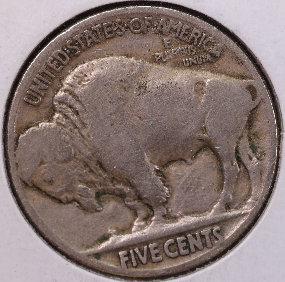 1919 Buffalo Nickel. Affordable Circulated Coin.  Store #NL789