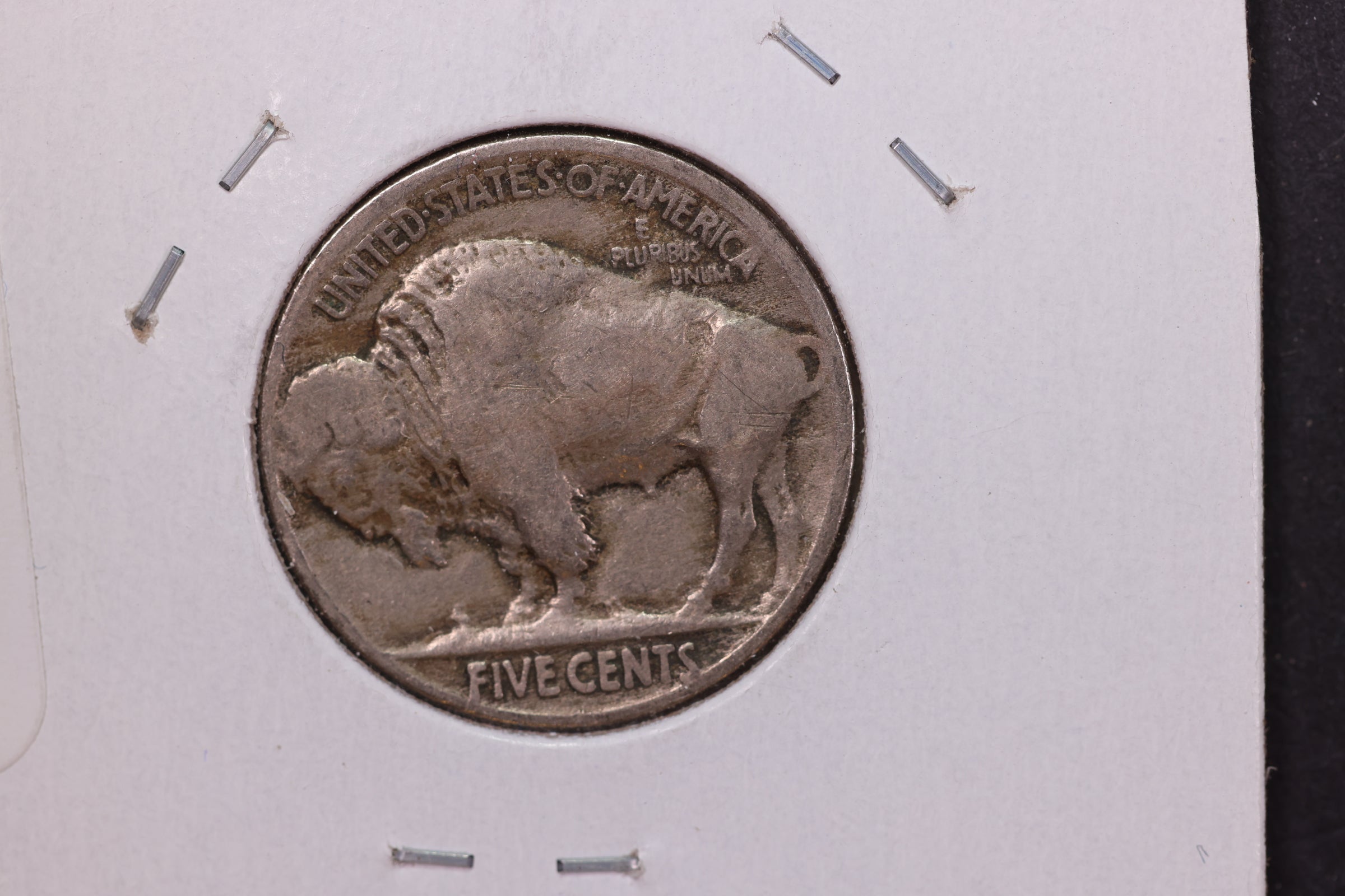 1919 Buffalo Nickel. Average Circulated Coin.  Store #12906