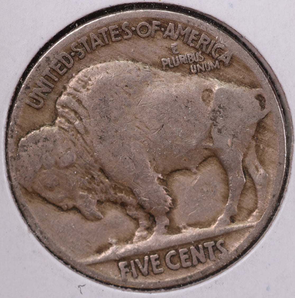 1919 Buffalo Nickel. Average Circulated Coin.  Store #NL787