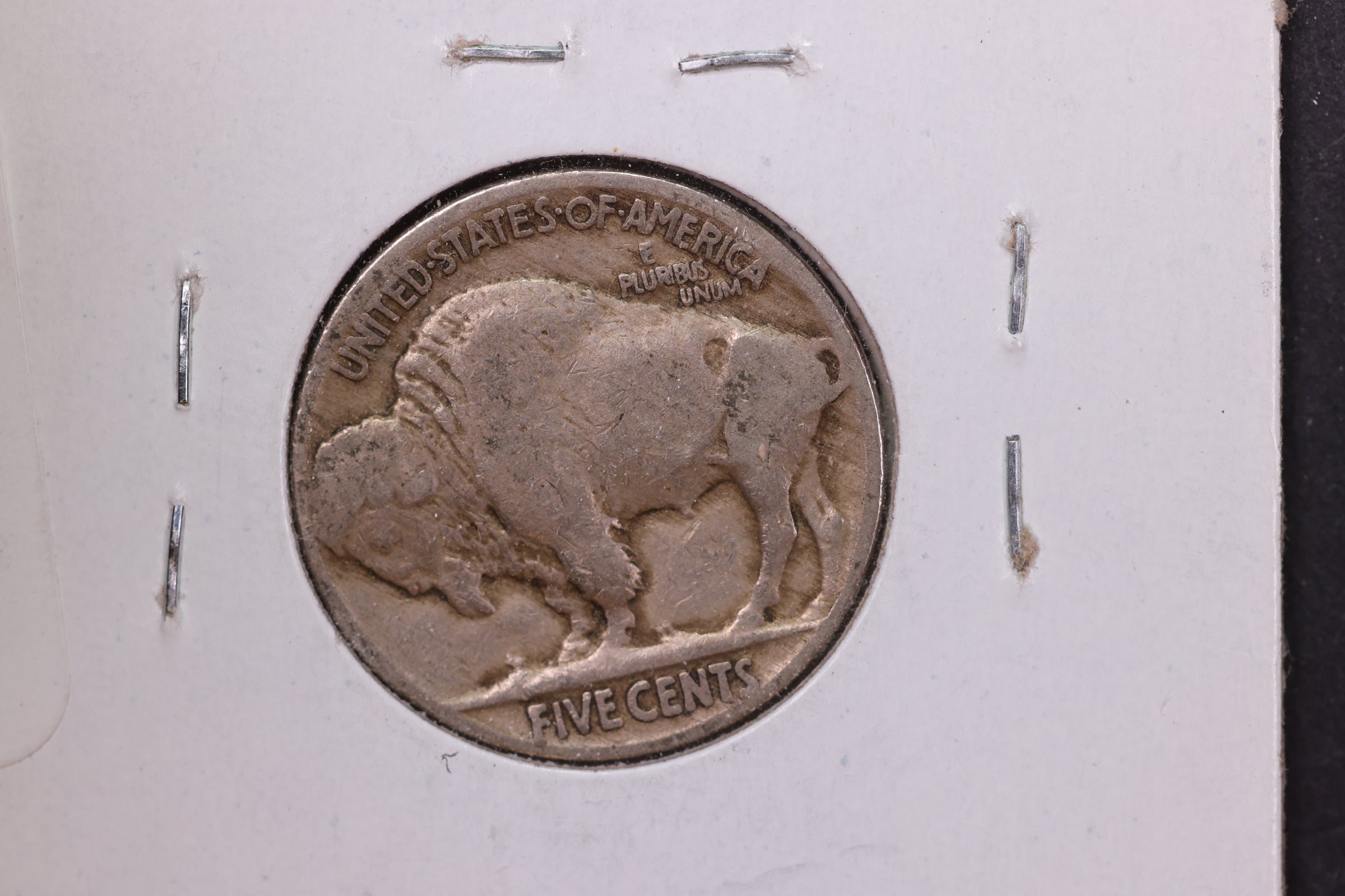 1919 Buffalo Nickel. Average Circulated Coin.  Store #12907