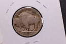 1920-S Buffalo Nickel. Affordable Circulated Coin.  Store