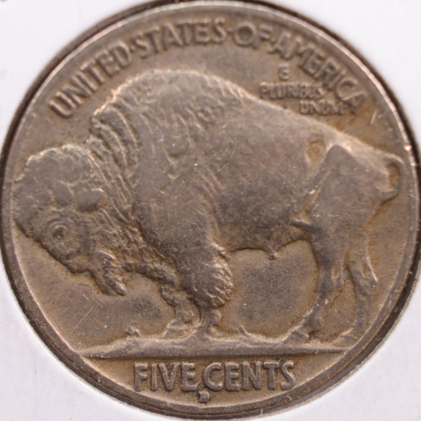 1916-D Buffalo Nickel, Fine Circulated Coin, Store #NL342