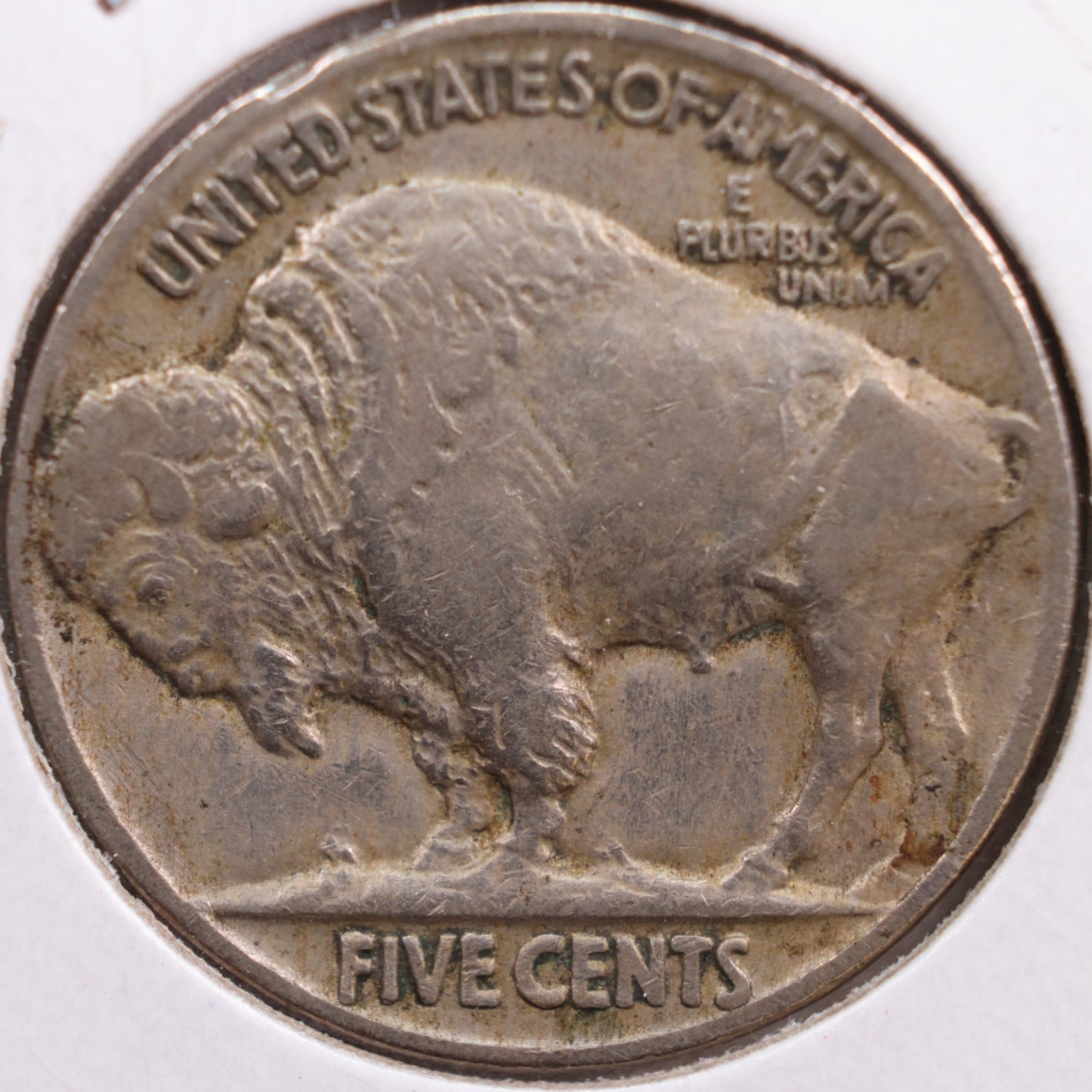 1917 Buffalo Nickel, Fine Circulated Coin, Store #NL358
