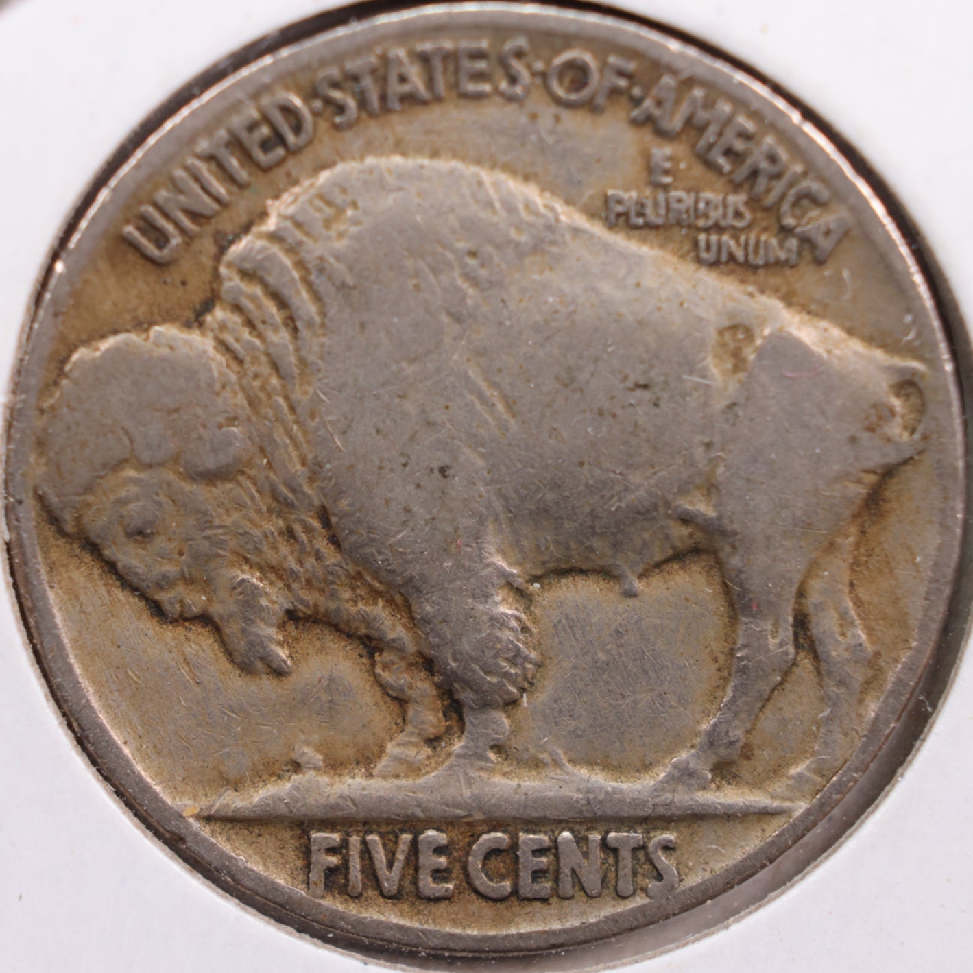 1918 Buffalo Nickel, Fine Circulated Coin, Store #NL393