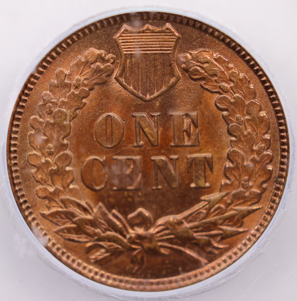1902 Indian Head Small Cents, ICG MS-64, Red/Brown, Uncirculated, Store #CT1673.