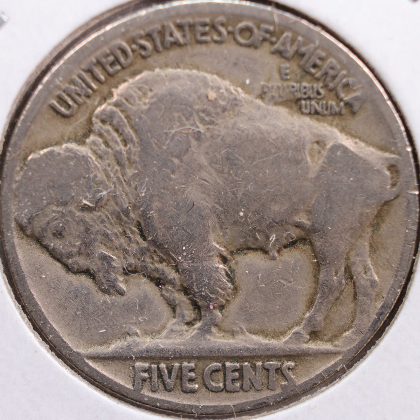 1919 Buffalo Nickel, Very Good Circulated Coin, Store #NL412