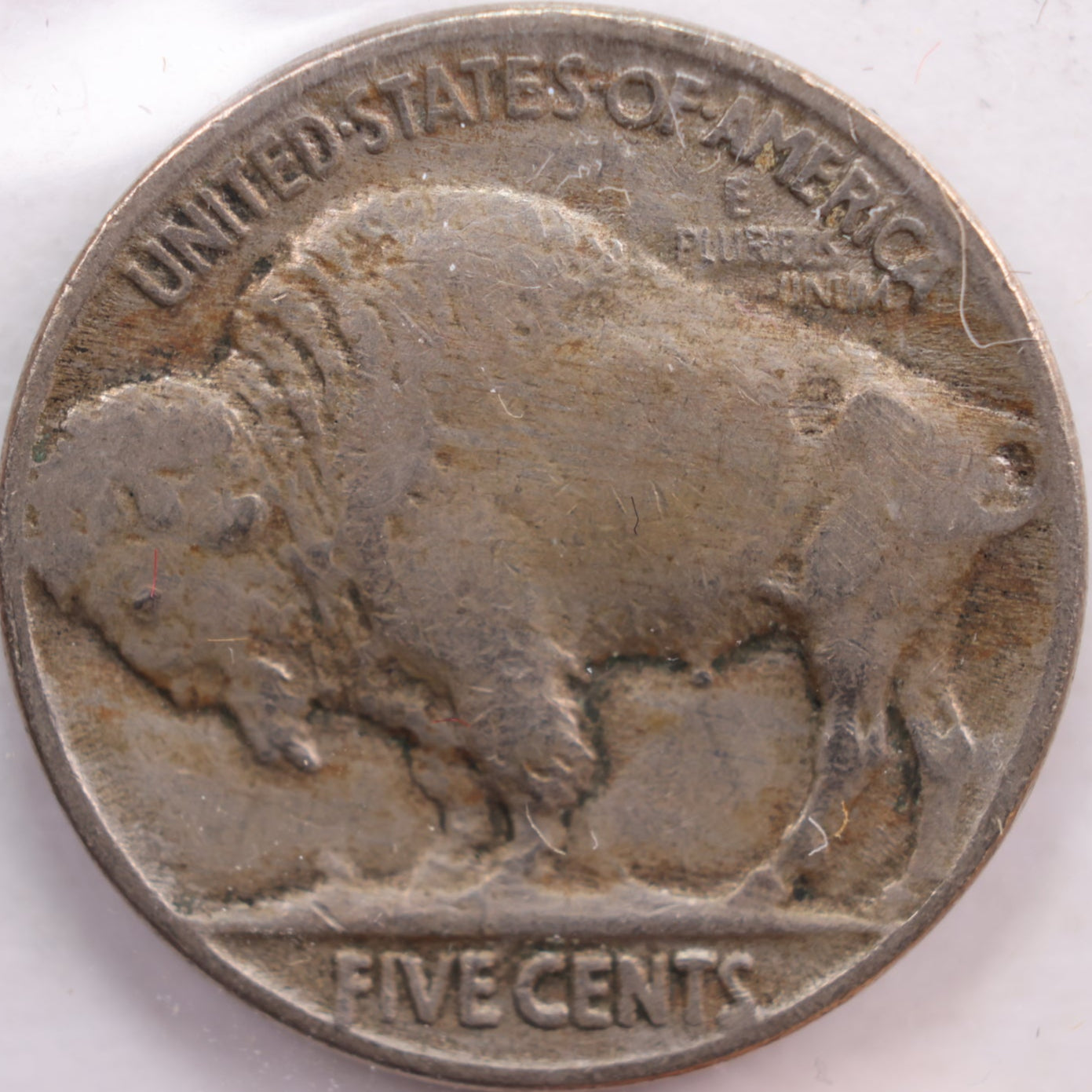 1920 Buffalo Nickel, Fine Circulated Coin, Store #NL440