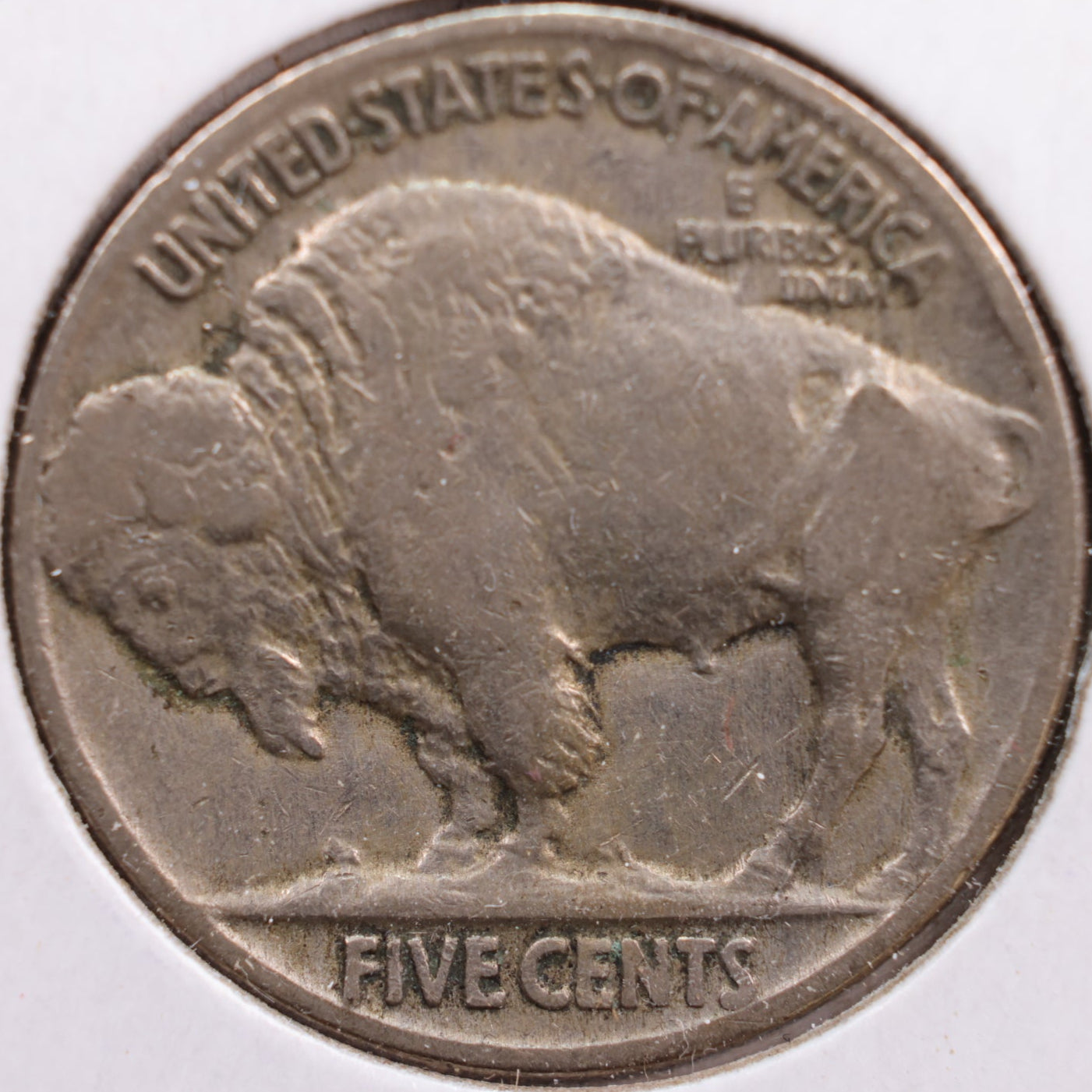 1920 Buffalo Nickel, Fine Circulated Coin, Store #NL449