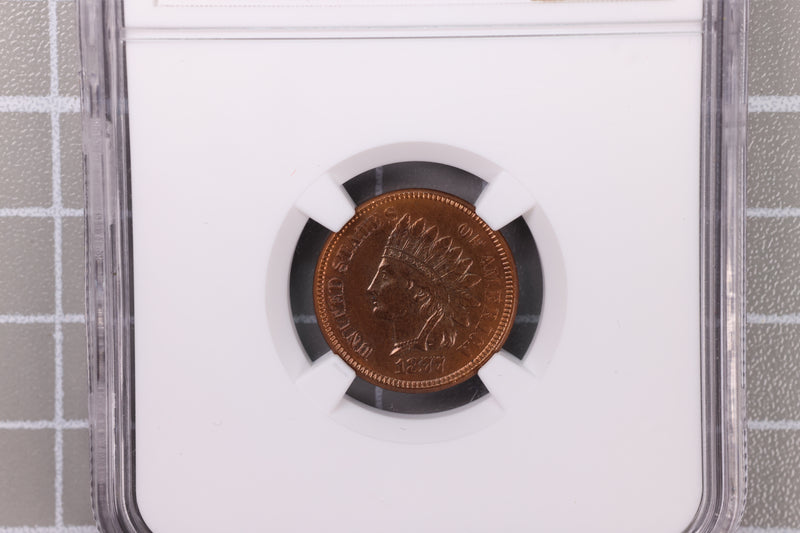 1877 Indian Head Cents, "KEY DATE", NGC Uncirculated Details. Store