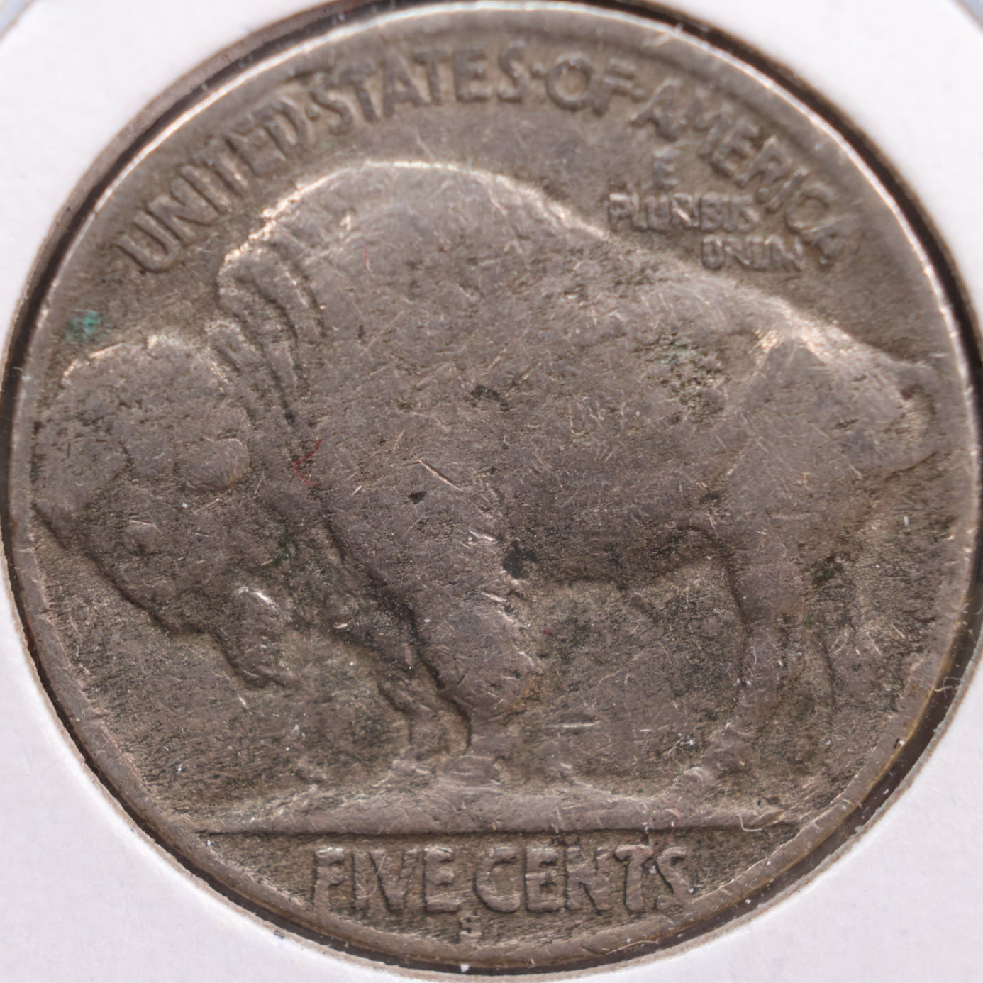 1921-S Buffalo Nickel, Fine Circulated Coin, Store #NL480