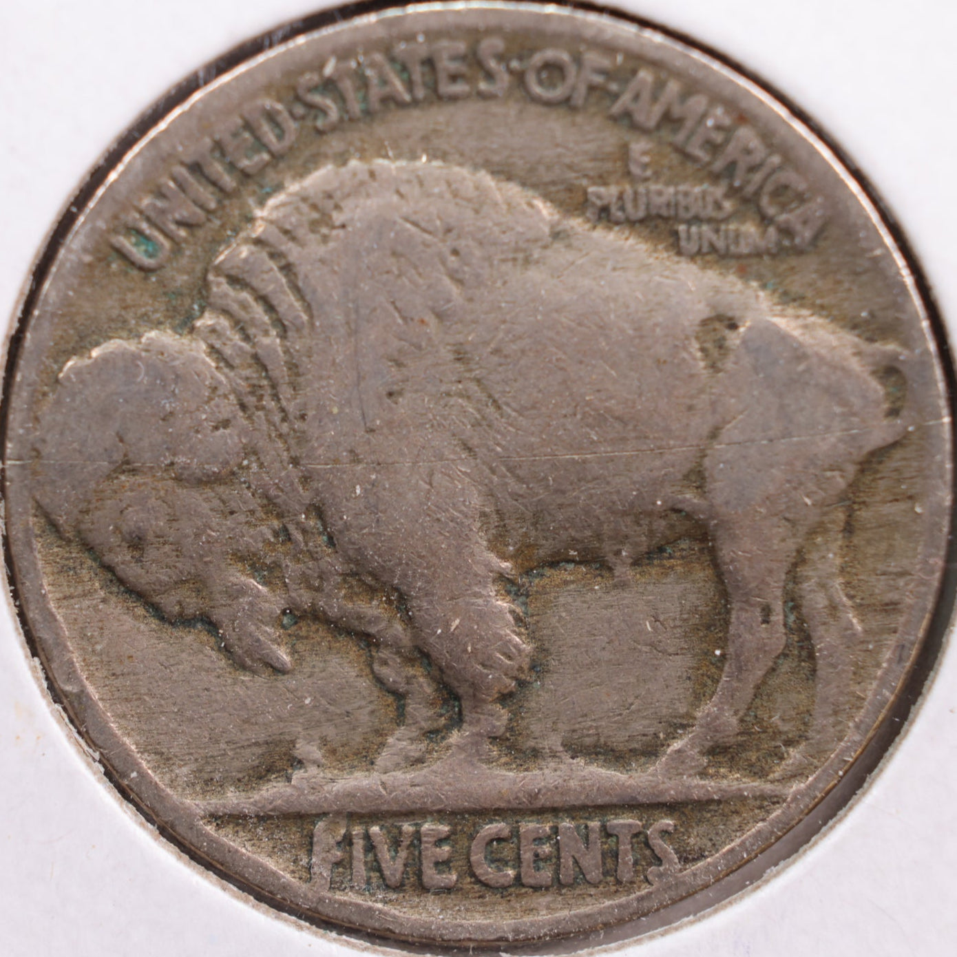 1924 Buffalo Nickel, Fine Circulated Coin, Store #NL513