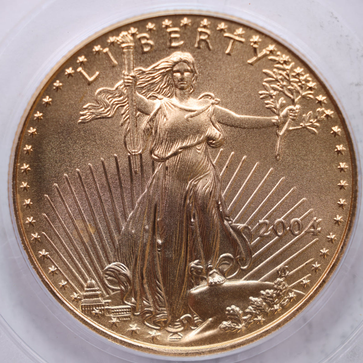 2004 $25 Gold American Eagle, 1/2 OZT Fine Gold, PCGS MS-69, Store #G016.