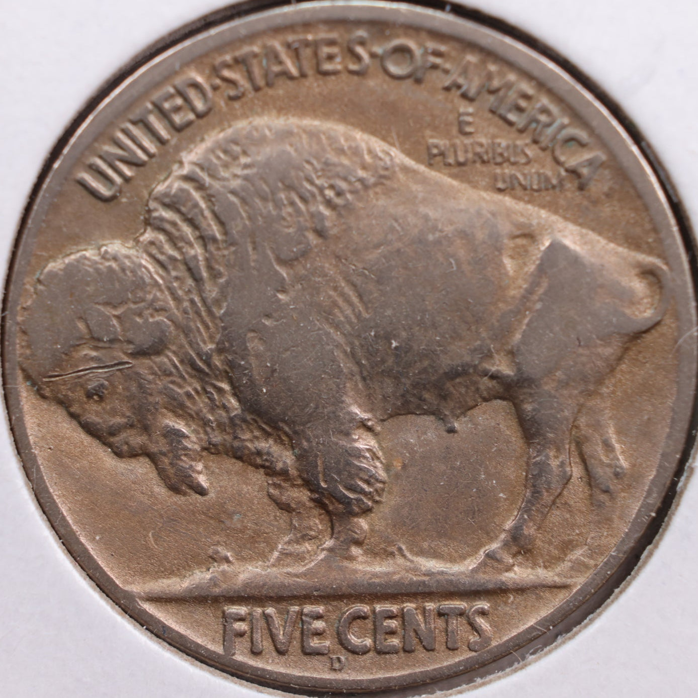 1924-D Buffalo Nickel, Very Fine+ Circulated Coin, Store #NL521