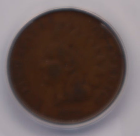 1872 Indian Head Small Cents, ANACS VG-10 Details, Scratched, Store #CT002.