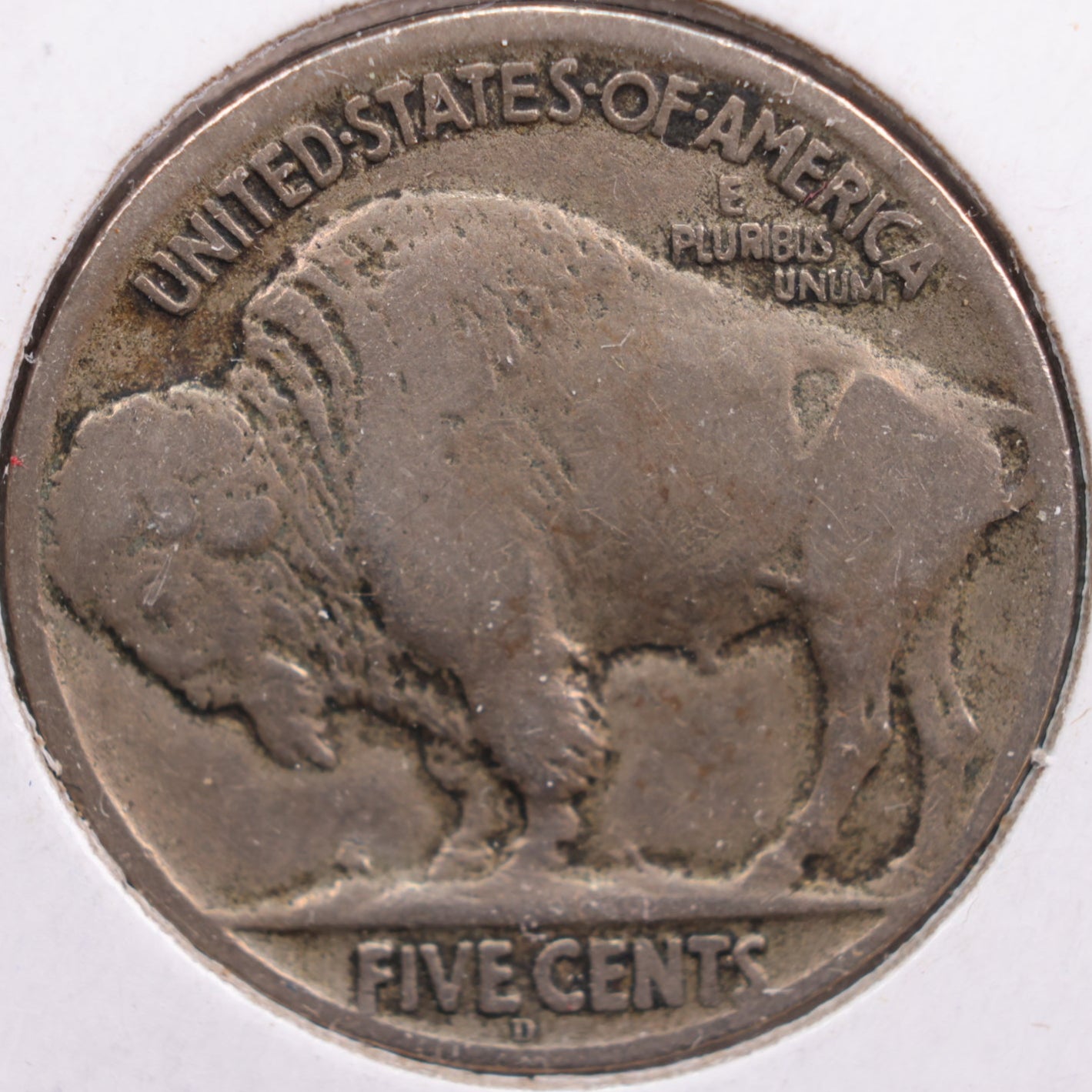 1924-D Buffalo Nickel, Fine Circulated Coin, Store #NL533