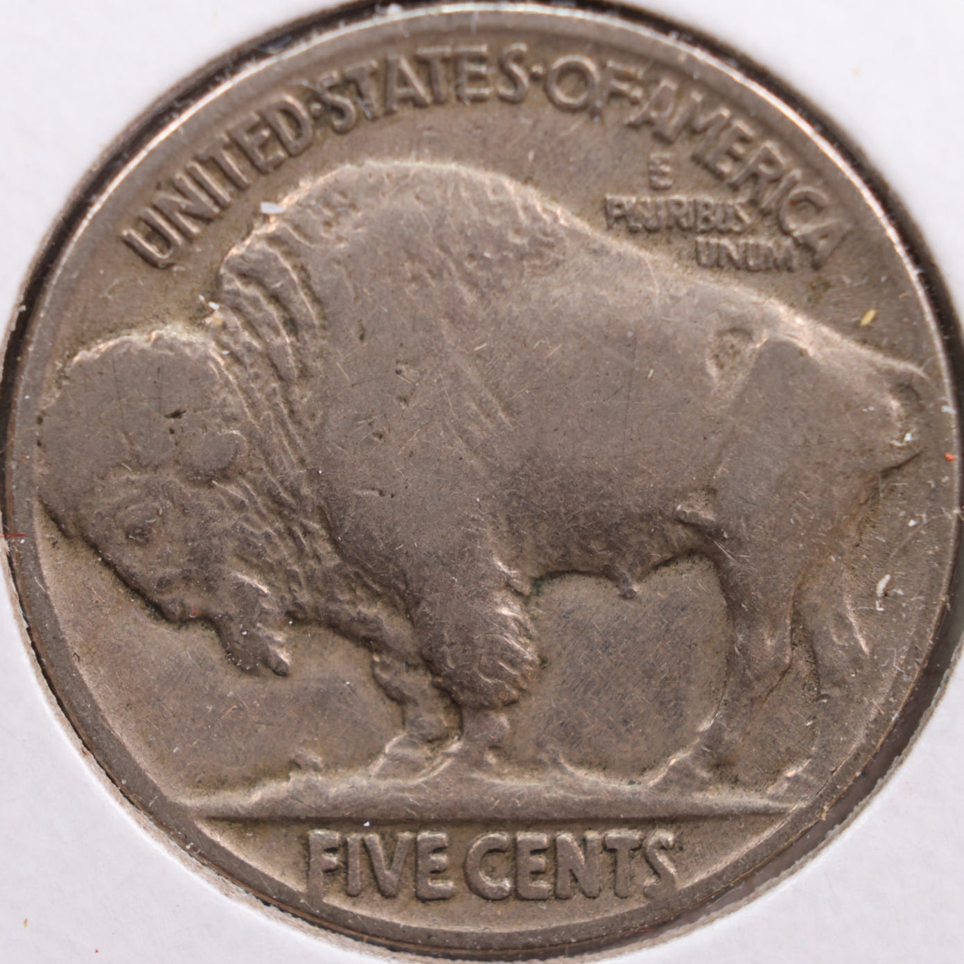 1925 Buffalo Nickel, Fine Circulated Coin, Store #NL548
