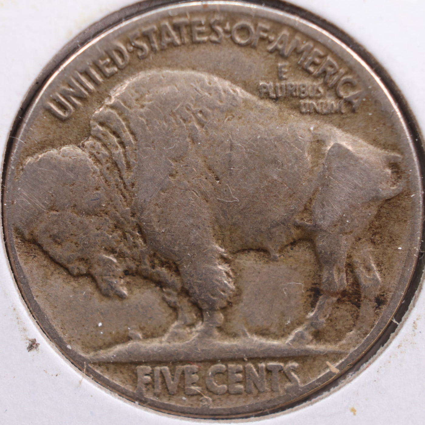 1925-D Buffalo Nickel, Fine Circulated Coin, Store #NL551