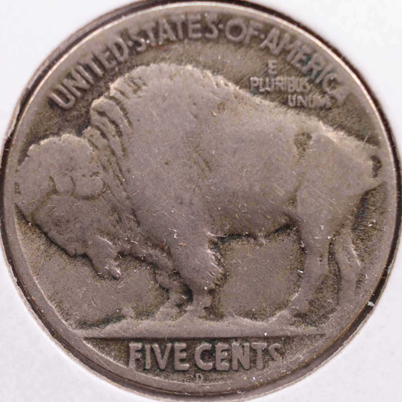 1925-D Buffalo Nickel, Fine Circulated Coin, Store #NL552