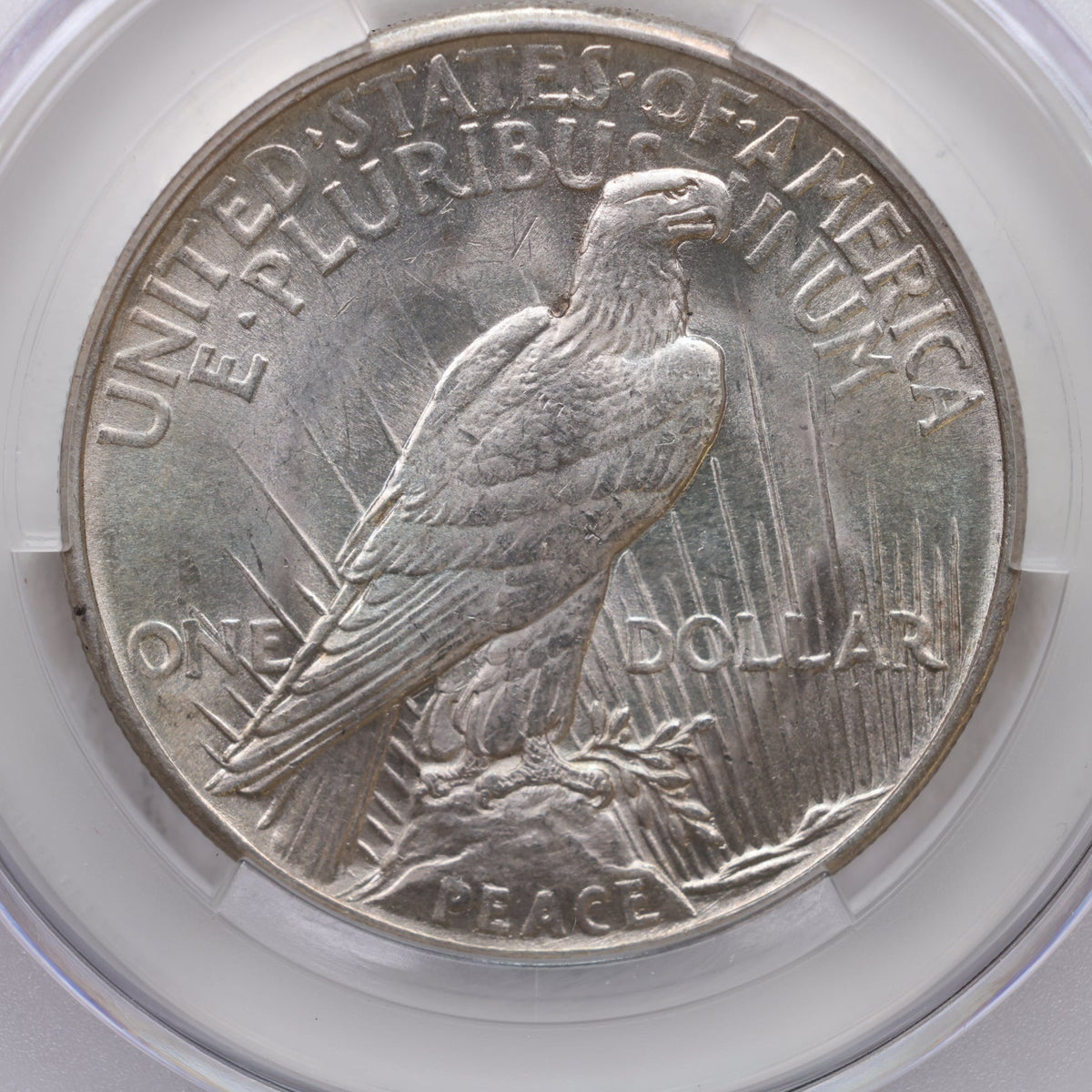 1921 Peace Silver Dollar, HIGH RELIEF, CAC Graded MS-63, Store #DR100.