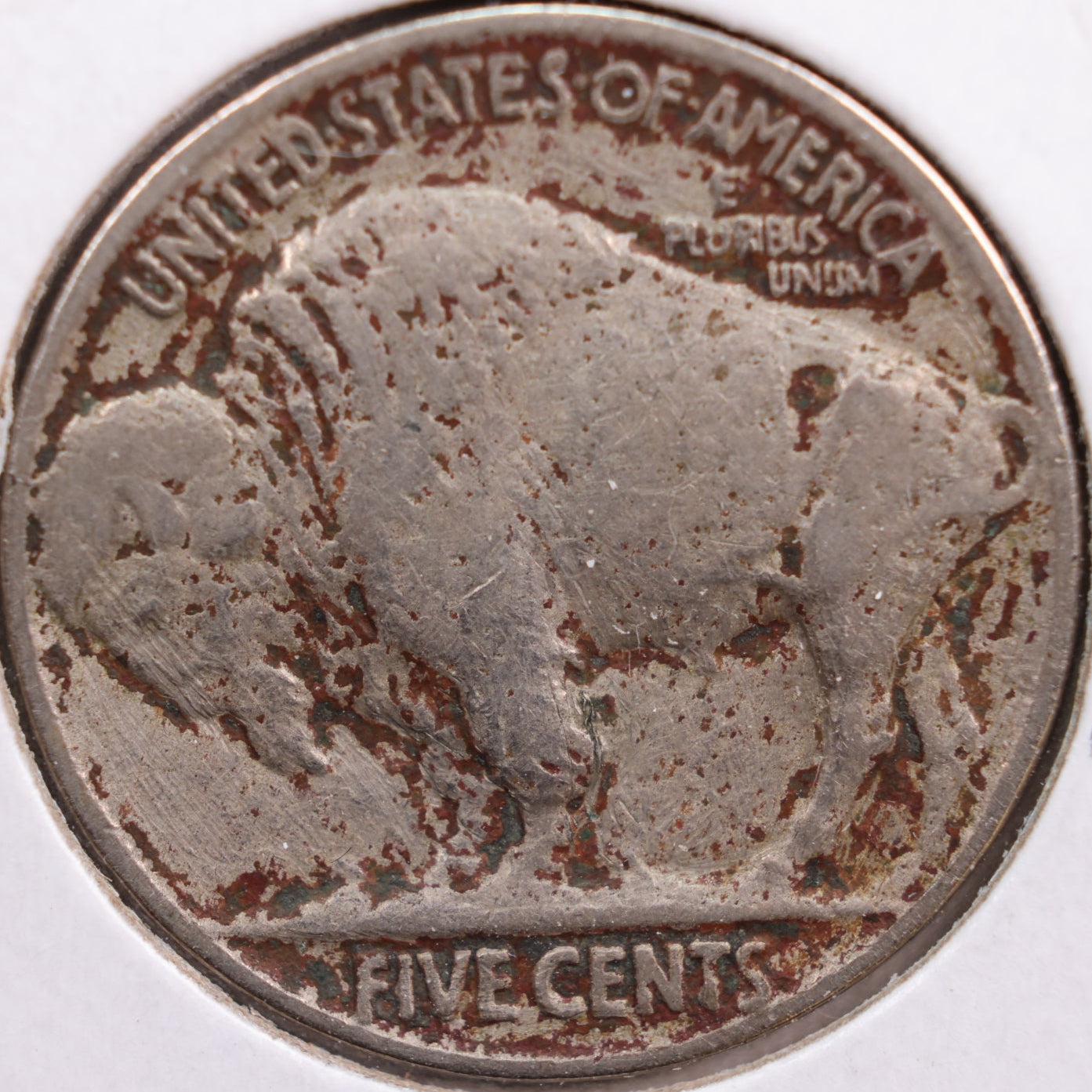 1926 Buffalo Nickel, Fine Circulated Coin, Store #NL574