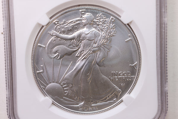 2024-W Burnished American Silver Eagle., NGC MS-69., Store #GSE001