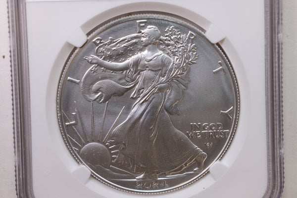 2024-W Burnished American Silver Eagle., NGC MS-70., Store #GSE002