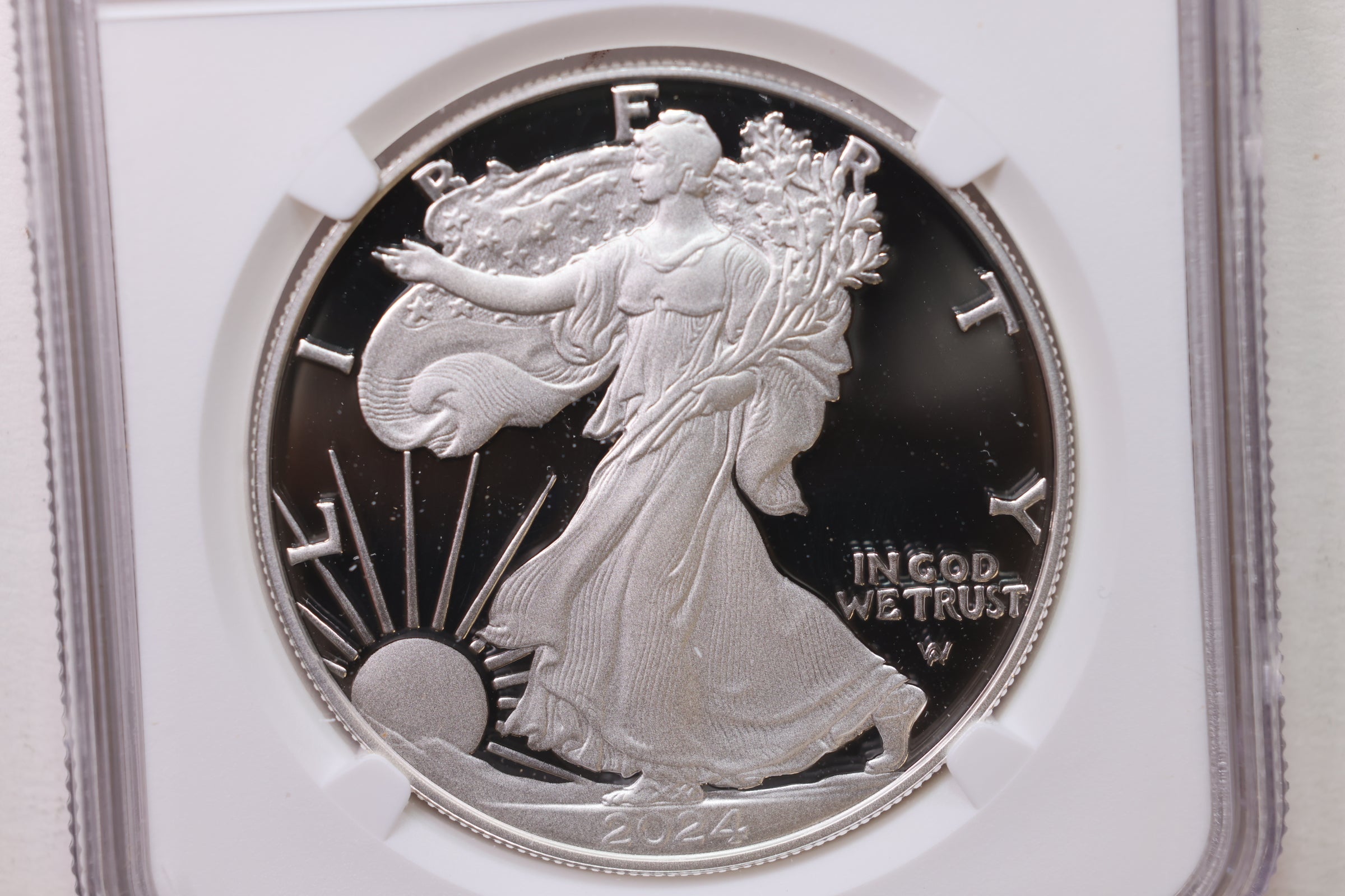 2024-S Proof American Silver Eagle, NGC PF-70, Store #GSE003