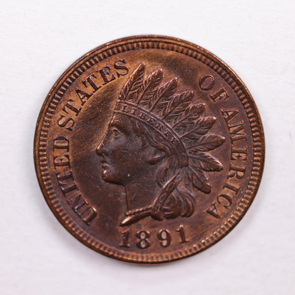 1891 Indian Head Cents, Uncirculated Detailed Coin., Store #CT0541.