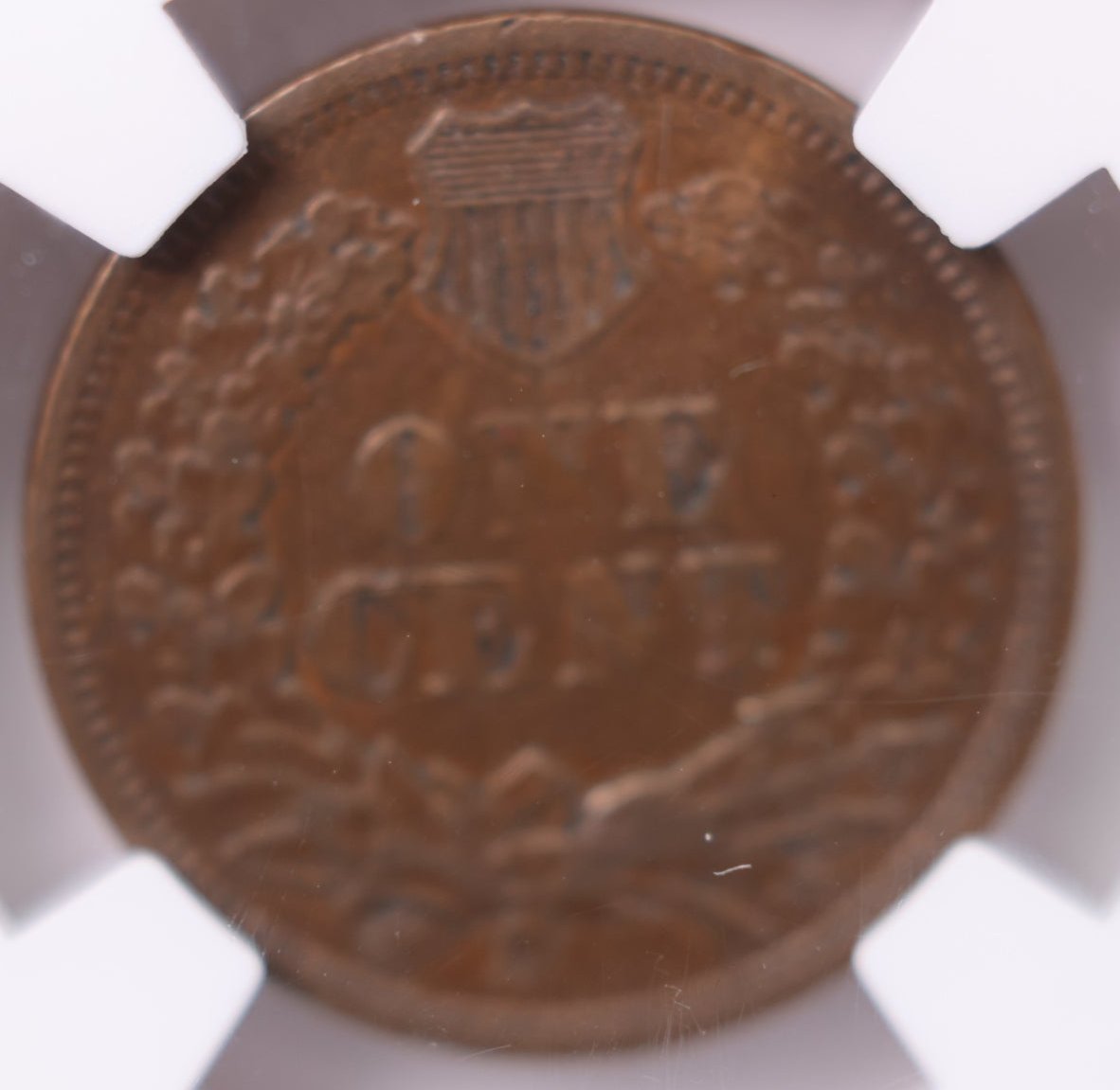 1869/69, Indian Head Cent., FS-301., Over Date., NGC VF-30., Store #GCI001