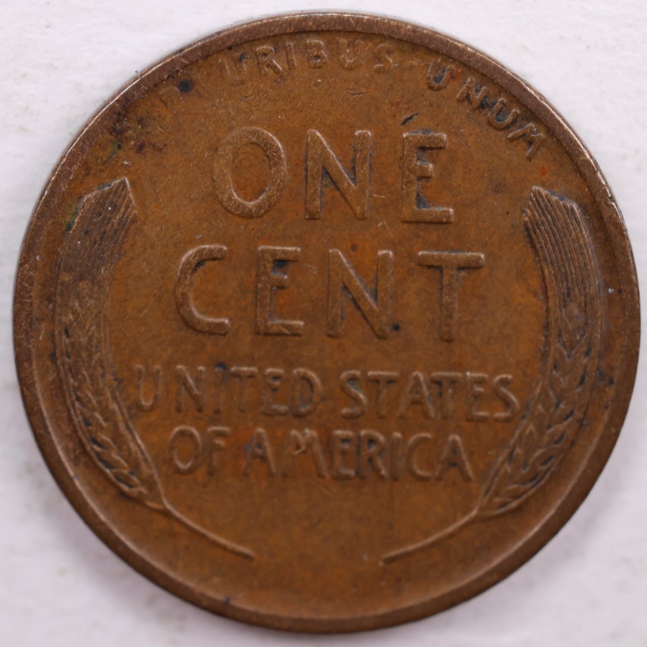 1919-D Lincoln Wheat Cent, Extra Fine Circulated Coin, Store #CT0073