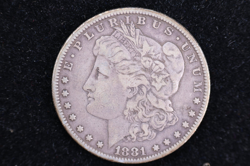 1881 Morgan Silver Dollar, XF Details, Store
