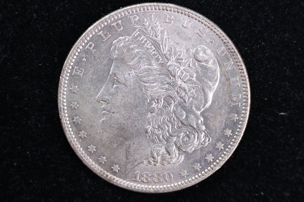 1880-O Morgan Silver Dollar, Mint State., Store #D880O02