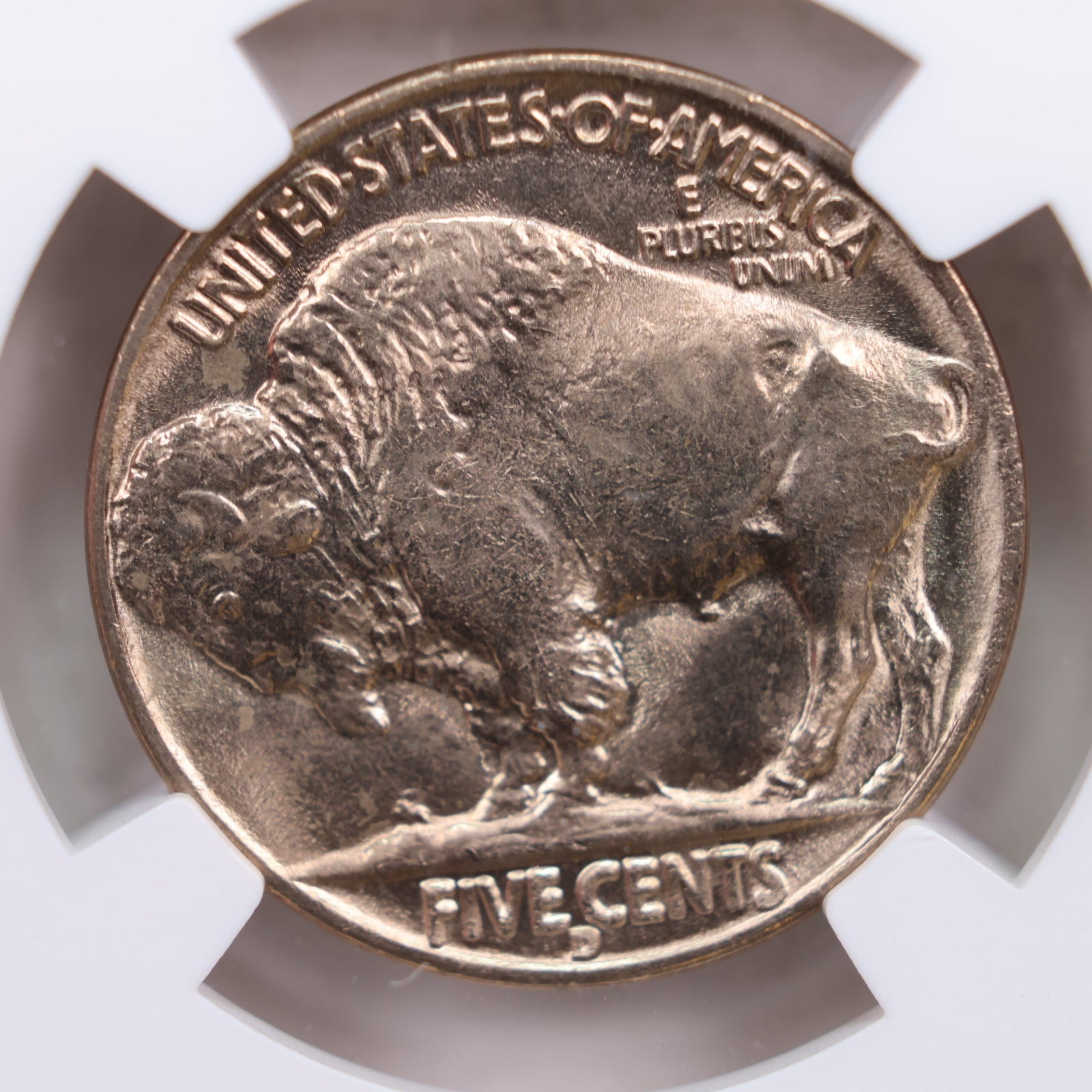 1938-D Buffalo Nickel., NGC MS-65., 'EYE Appeal", Store SALE #GNL017.