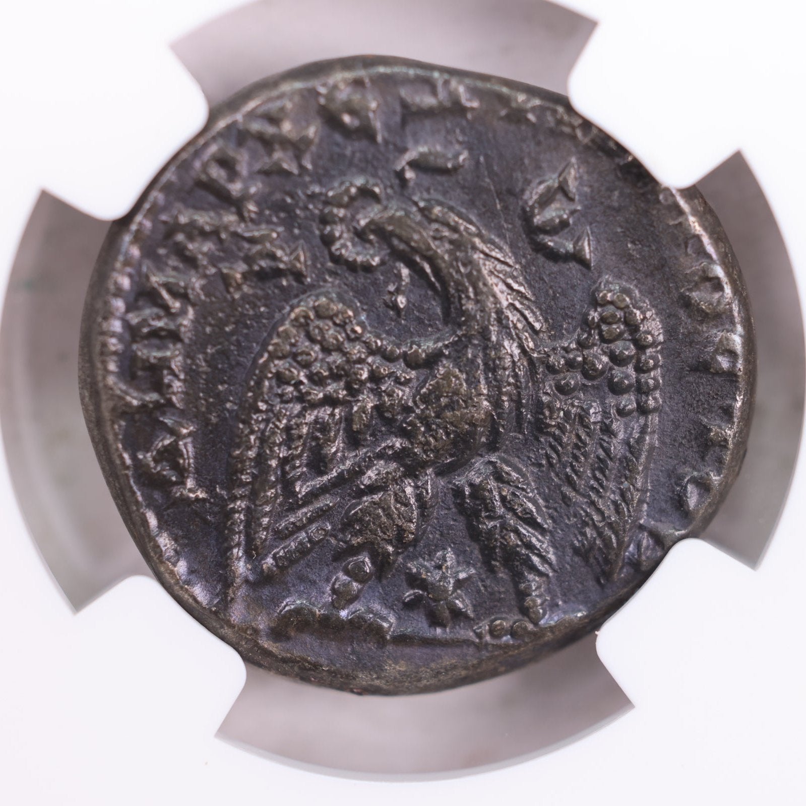 ROMAN PROVINCIAL., A.D., 218-222., NGC Certified V.F., Store# AT0021