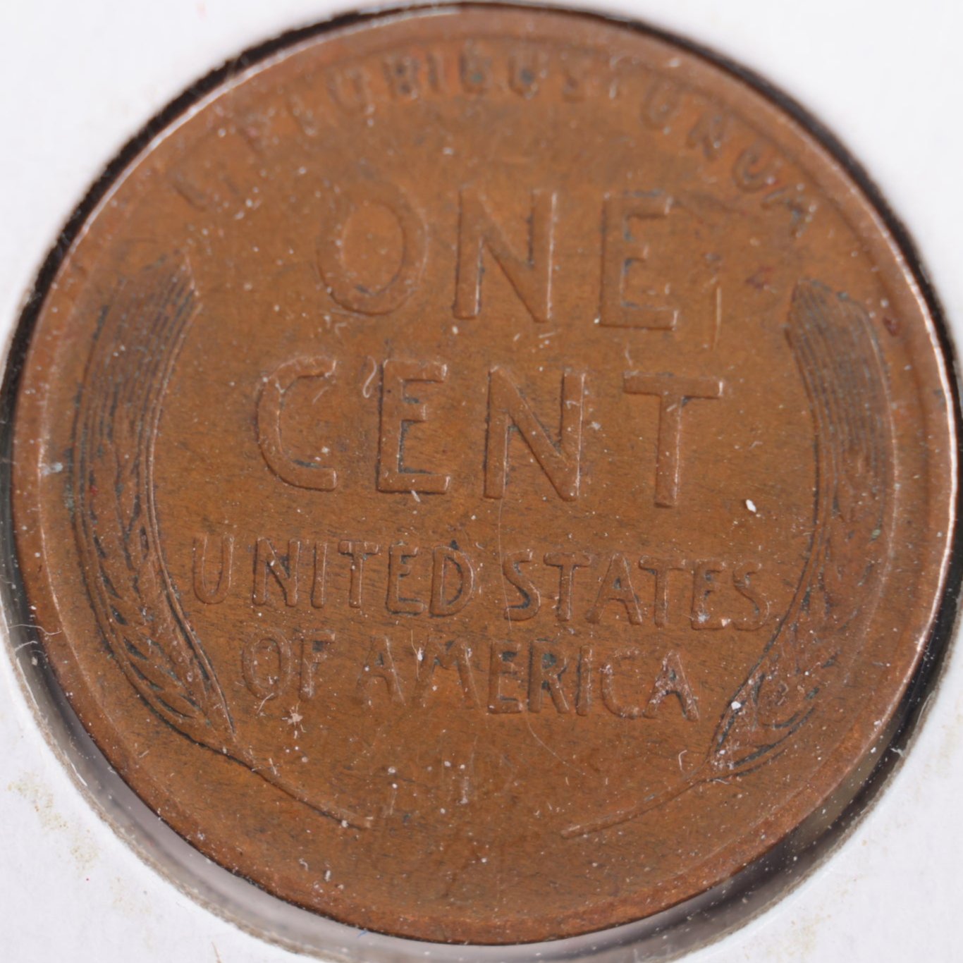 1909 Lincoln Wheat Cent,Extra Fine Circulated Coin, Store #CT0129