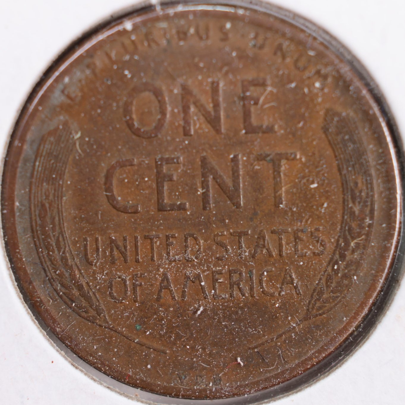 1909 VDB Lincoln Wheat Cent, Extra Fine Circulated Coin, Store #CT0135