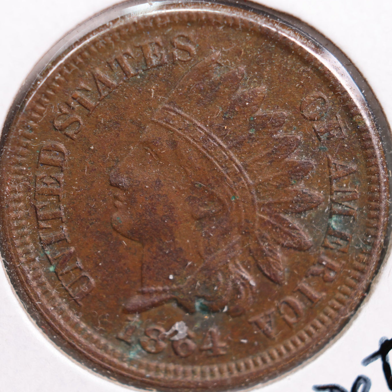 1864 Indian Head Cent, Extra Fine Circulated Coin, details, Store #CT0767