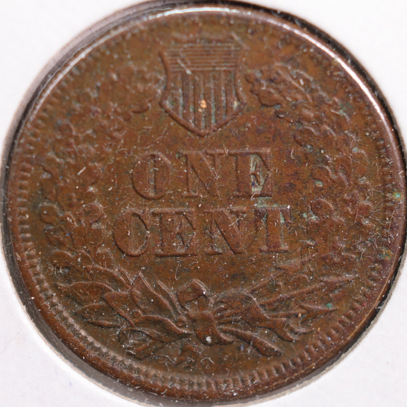 1864 Indian Head Cent, Extra Fine Circulated Coin, details, Store #CT0767