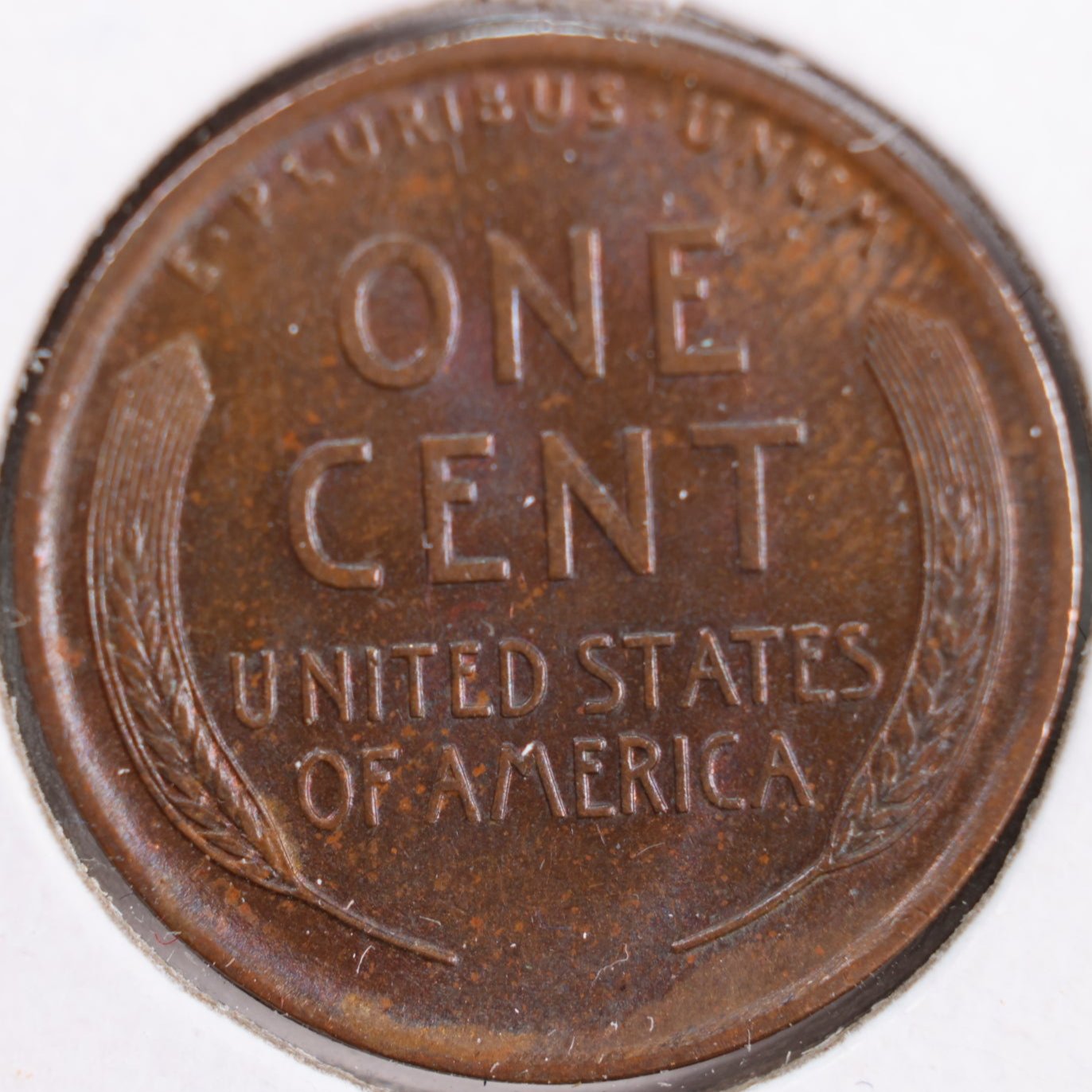 1910 Lincoln Wheat Cent, Mint State Brown Uncirculated Coin, Store #CT0140