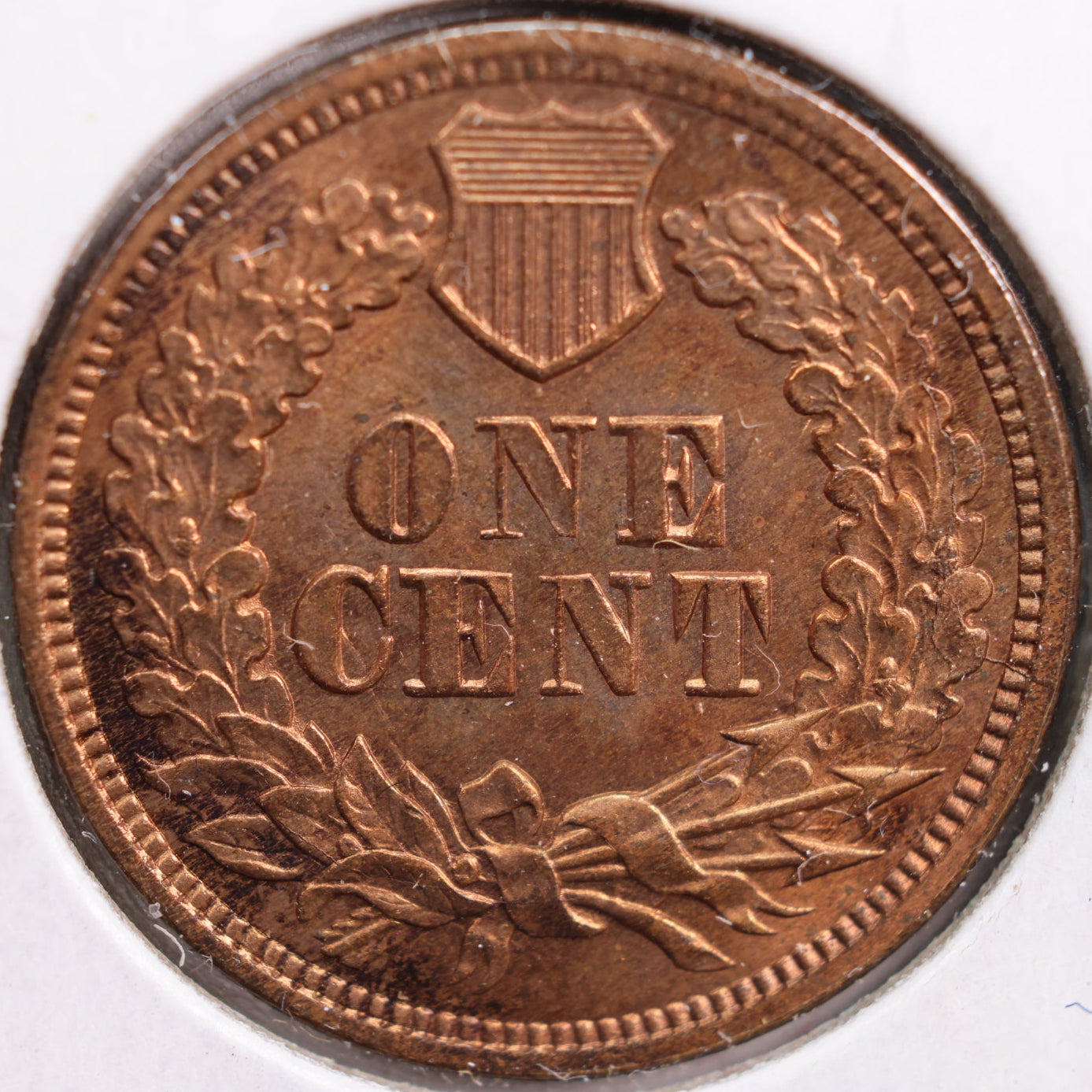 1869 Indian Head Cent, Mint State RB Uncirculated Coin, Store #CT0776