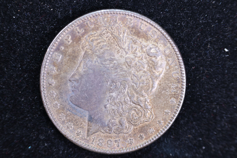 1897 Morgan Silver Dollar, Affordable Circulated Coin, Store